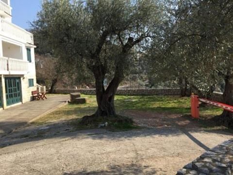 Гостевой дом Guest house Dragović Свети-Стефан